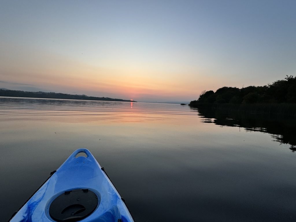 c8fc1f26-bc2c-479b-a679-6b93eee29363-50