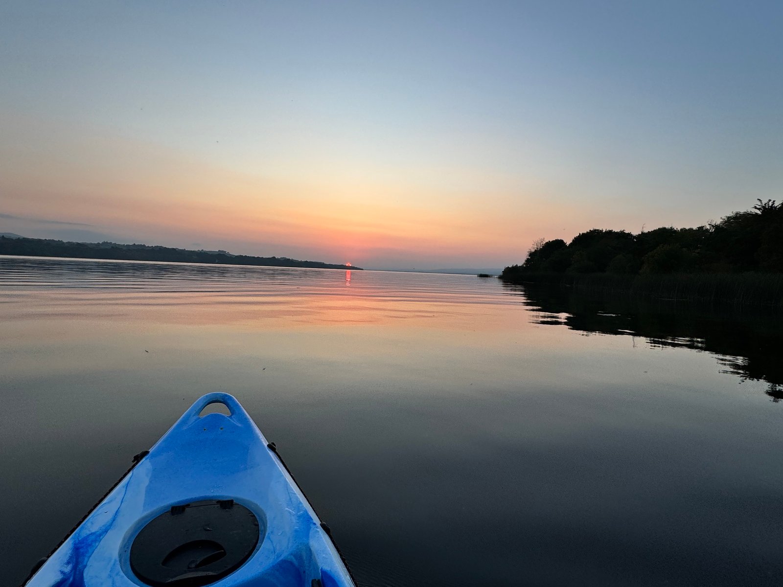 c8fc1f26-bc2c-479b-a679-6b93eee29363-50