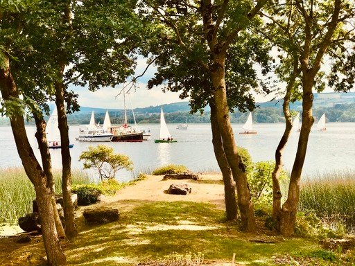 d92882b9-f805-40ec-936a-cdfd44b0bfc6-1-105-c-50